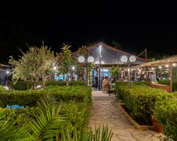 Oasis Taverna & Beach Bar